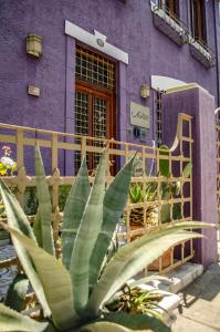 瓦爾帕萊索的住宿－曼諾爾阿特金森酒店，一座紫色的建筑,前面有植物