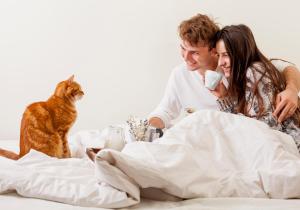 a man and woman sitting in bed with a cat at Dream Hotel Bangkok in Bangkok