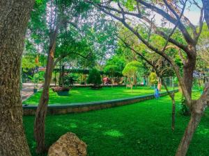 a green park with trees and green grass at Centauria Wild in Udawalawe