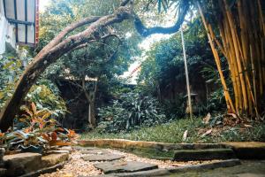 a garden with a tree and a stone path at Omah Bagelen Homestay 