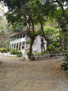 uma casa branca com uma árvore em frente em Casa Susen em Montezuma