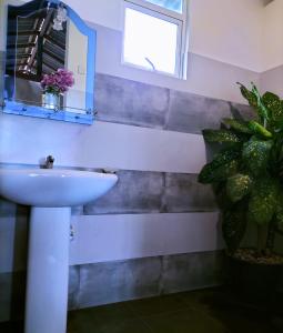 Bagno di Secret Swell