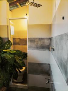 Bagno di Secret Swell