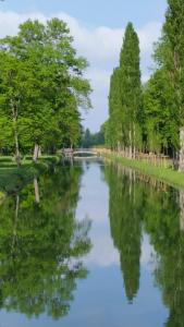un río con árboles reflectantes en el agua en Appartement beim Schloss, 