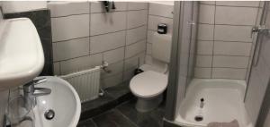 ein kleines Bad mit WC und Waschbecken in der Unterkunft Altstadt-Hotel Gosequell in Goslar