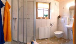 a bathroom with a shower and a toilet and a sink at Präau-Gut in Dorfgastein