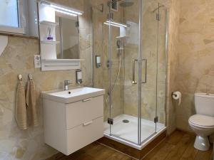a bathroom with a shower and a sink and a toilet at Ferienwohnung Drachennest mit Sonnenterrasse in Feldkirch