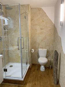 a bathroom with a toilet and a glass shower at Ferienwohnung Drachennest mit Sonnenterrasse in Feldkirch