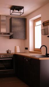 Kuchyň nebo kuchyňský kout v ubytování Apartment Dicka