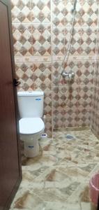 a bathroom with a toilet and a shower at Dar LBAHJA 3 in Ouzoud