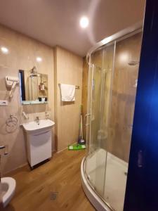 a bathroom with a shower and a sink at Apartment in Bakuriani in Bakuriani