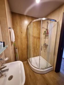 a shower with a glass door next to a sink at Apartment in Bakuriani in Bakuriani