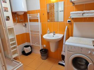 uma pequena casa de banho com uma máquina de lavar roupa e um lavatório em Apartmán Max Lipno em Lipno nad Vltavou