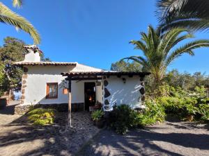 una pequeña casa blanca con una palmera en Finca Llano de la cebolla, en Icod de los Vinos