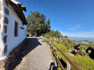 Príroda v okolí of the country house