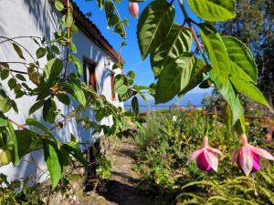 Vonkajšia záhrada v ubytovaní Finca Llano de la cebolla