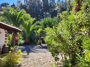Vonkajšia záhrada v ubytovaní Finca Llano de la cebolla
