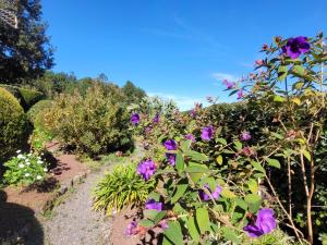 Vonkajšia záhrada v ubytovaní Finca Llano de la cebolla