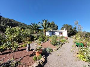 Vonkajšia záhrada v ubytovaní Finca Llano de la cebolla