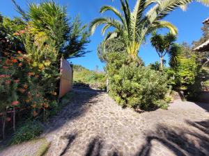 Vonkajšia záhrada v ubytovaní Finca Llano de la cebolla