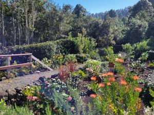 Vonkajšia záhrada v ubytovaní Finca Llano de la cebolla