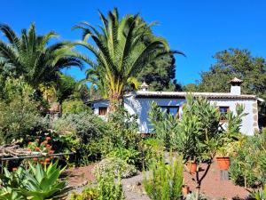 Vonkajšia záhrada v ubytovaní Finca Llano de la cebolla