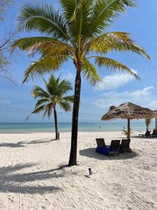 dos palmeras y sillas en una playa en You&Me Resort en Koh Rong Island