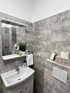 W łazience znajduje się umywalka i lustro. w obiekcie Cozy Deluxe Apartments in Centre of Historical Suceava w Suczawie