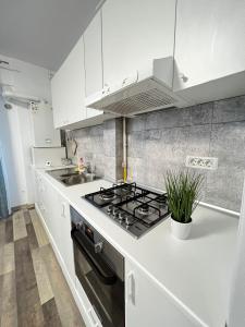 a white kitchen with a stove and a sink at Cozy Deluxe Apartments in Centre of Historical Suceava in Suceava