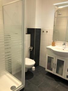 La salle de bains est pourvue d'une douche, de toilettes et d'un lavabo. dans l'établissement Haus Seebad Whg 11, à Grömitz