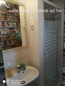 uma casa de banho com um lavatório e um chuveiro em Aéroport chambre ,au calme em Bouguenais