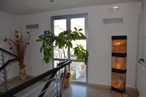 Fotografie z fotogalerie ubytování Hotel I Cedri v destinaci Scandicci