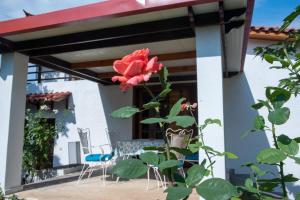 Fotografie z fotogalerie ubytování Villa Kontos v destinaci Kamena Vourla