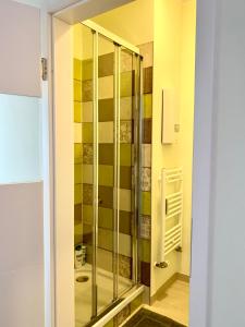 La salle de bains est pourvue d'une douche en verre et de toilettes. dans l'établissement die Senfbude - schöne, ebenerdige 2-Raum-Apartments mit Stellplatz und Terrasse, à Leipzig