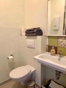La salle de bains est pourvue de toilettes blanches et d'un lavabo. dans l'établissement die Senfbude - schöne, ebenerdige 2-Raum-Apartments mit Stellplatz und Terrasse, à Leipzig