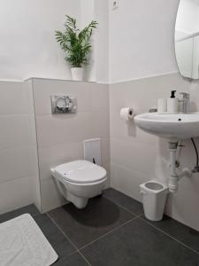 a white bathroom with a toilet and a sink at Orchidea Apartman in Gödöllő