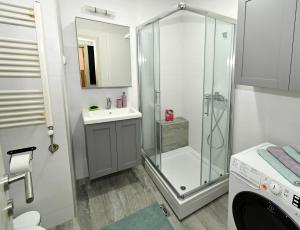 Apartment Welcome في Karaburma: حمام مع دش ومغسلة