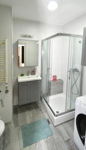 Apartment Welcome في Karaburma: حمام مع دش ومغسلة