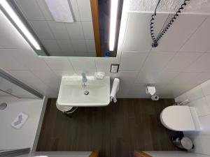 een badkamer met een wastafel en een toilet bij Hotel Brauhaus Wiesenmühle in Fulda