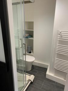 La salle de bains est pourvue de toilettes et d'une douche en verre. dans l'établissement TERRA Studio cosy et calme proche du centre avec parking TV et Wifi, à La Rochelle