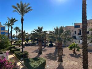 a park with palm trees and bushes and buildings at Calas de Campoamor en Cabo Roig in Playas de Orihuela