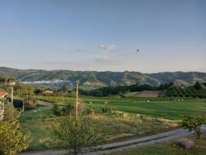 a view of a field with mountains in the background at Agriturismo La Margherita in San Giorgio Scarampi