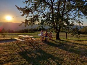 dos personas sentadas en una mesa de picnic bajo un árbol en Agriturismo La Margherita, en San Giorgio Scarampi