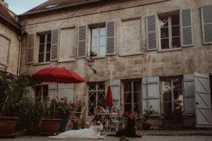 deux chats assis devant un bâtiment dans l'établissement La Fontaine Racine - Chambres d'hôtes, à La Ferté-Milon