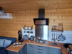Le RepaireRoulotte au paradis的小屋内的厨房配有炉灶烤箱 更多11张照片
