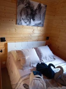 Le RepaireRoulotte au paradis的一张位于木房的床铺,里面挂着一只猫的照片