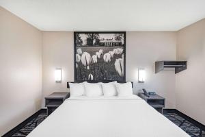 Postel nebo postele na pokoji v ubytování Super 8 by Wyndham Charlottesville