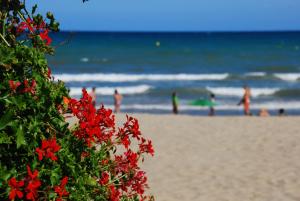 eine Gruppe von Menschen am Strand mit roten Blumen in der Unterkunft Apartamentos Be Suites Mar de Azahar in Oropesa del Mar