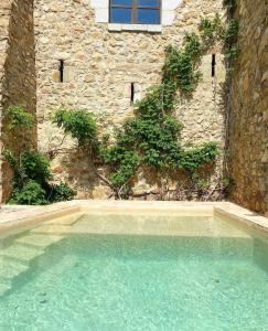 uma piscina em frente a um edifício de pedra em ELS RACONS DEL FORT Castle in wine territory em Capmany