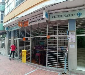 Fotografia z galérie ubytovania Las Canteras Las Puntillas Beach v destinácii Las Palmas de Gran Canaria
